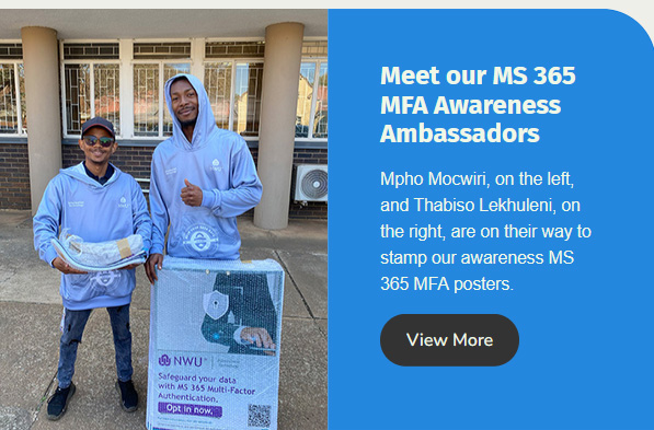 Meet our MS365 Ambassadors