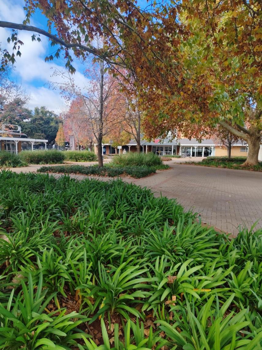 Cachet Park