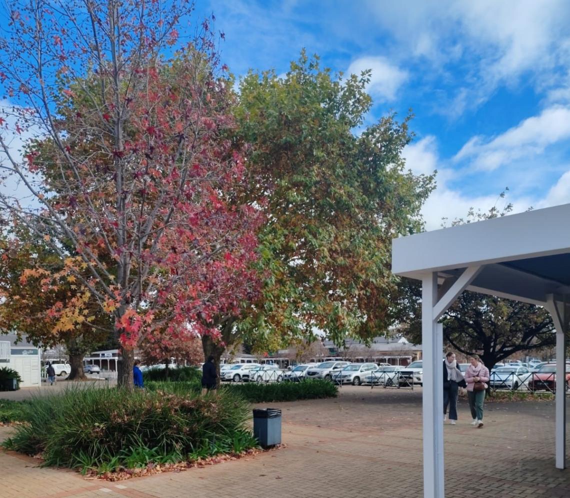 Cachet Park 4